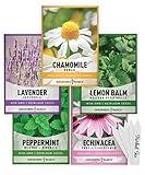 Gardeners Basics, Herbal Tea Seeds for Planting Indoors and Outdoors 5 Variety Packets Echinacea, Peppermint, Lavender, Chamomile and Lemon Balm - Great for Kitchen Herb Garden Heirloom Herb Seeds