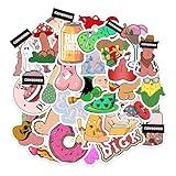 30Pcs Funny Adult Humor Vinyl Sticker Pack – Waterproof Mature Cartoon Decals for Laptop, Water Bottle, Car, Journal, Skateboard – Hilarious Gag Gift for Grown Ups
