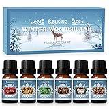 SALKING Winter Set of Scented Oils, Premium Fragrance Essential Oils Gift Set for Diffuser, Soap & Candle Making Scents - Cinnamon, Christmas Wreath, Sugar Cookie, Cranberry, Peppermint, Gingerbread