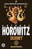 Burnt (Horowitz Horror Book 3)