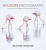 Wildlife Photography: An expert guide