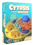 Cytosis: A Cell Biology Board Game | A Science Accurate Strategy Board Game About Building Proteins, Carbohydrates, Enzymes, Organelles, & Membranes | Fun Science Games for Adults & Family Game Night