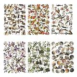 Maxleaf 240PCS Waterproof Flowers Leaves Animals Plants Nature Stickers for Art Journaling Planners Scrapbook DIY Crafts Decoration, 6 Series Nature Theme Stickers Set
