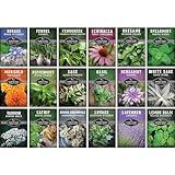 Survival Garden Seeds - 18 Medicinal Herb Seed Packets to Plant & Grow in The Home Vegetable Garden - Assortment of Herb Plant Seeds for Growing Herbal Teas & Tinctures - Non-GMO Heirloom Varieties