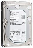 Seagate Enterprise Capacity 3.5 HDD| ST6000NM0034 | 6TB 7.2K RPM SAS 12Gb/s 128MB Cache 3.5' | 512n | Enterprise Hard Disk Drive for Hyperscale Applications (Renewed)
