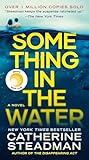 Something in the Water: Reese's Book Club: A Novel