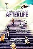 Signs From Pets In The Afterlife: Identifying Messages From Pets in Heaven