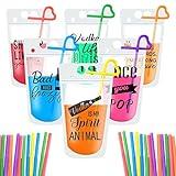 48pc Drink Pouches with Straws, Stand-Up Plastic Drink Pouches for Adults Bags with Zipper Party Beverage Bags Juice Pouches for Smoothie, Cold & Hot Drinks with 48 Drink Straws(48 Sets,6 Styles)