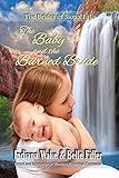 The Baby and the Burned Bride (The Brides of Sioux Falls Book 1)