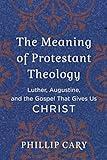 The Meaning of Protestant Theology: Luther, Augustine, and the Gospel That Gives Us Christ