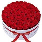 50 Piece Roses in a Velvet Box, Flowers for Delivery, Presereved Flowers Birthday Gifts for Women Mom and Wife (Red)