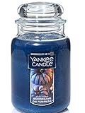 Yankee Candle Moonbeams On Pumpkins Large Jar Candle, Food & Spice Scent