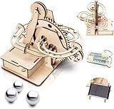 Marble Run 3D Wooden Puzzle for Adults and Teens,DIY Model Kit,Educational Jigsaw Puzzles Building Toys, STEM Projects Science Experiments Runs on Solar, Gift for Women/Kids Ages 8-10-12-14