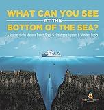 What Can You See in the Bottom of the Sea? A Journey to the Mariana Trench Grade 5 | Children's Mystery & Wonders Books