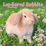 Lop Eared Rabbits Calendar 2026 | 12 Month Wall Calendar | Avonside Publishing | Plastic Free Packaging