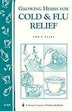 Growing Herbs for Cold & Flu Relief: Storey's Country Wisdom Bulletin A-219 (Storey Country Wisdom Bulletin)
