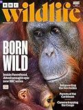 BBC Wildlife Magazine
