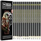 Drawing Pencils Set of 14 (B - 12B) Sketching Pencils for Drawing, Shading & Doodling | Professional Sketch Pencils Graphite Grades for Artists & Beginners