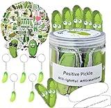 45 Emotional Support Pickle Cards with 50 Positive Stickers and 5 Keychain, Pickles Affirmation Cards in A Jar, Mental Health Gifts to Cheer Up Friends Women Men Mom, Daughter Son Teen Girl