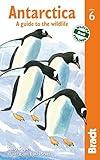 Antarctica: A Guide To The Wildlife (Bradt Guides)