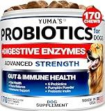 Probiotics for Dogs and Digestive Enzymes - 170 Dog Probiotics Chews - Dog Probiotic - Anti Diarrhea, Upset Stomach & Gas Relief, Canine Prebiotic - Pet Fiber Supplement - Bacon Flavor