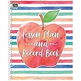 Teacher Created Resources Watercolor Lesson Plan and Record Book, 8.5 inches X 11 inches, White