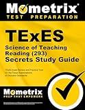 TExES Science of Teaching Reading (293) Secrets Study Guide: TExES Exam Review and Practice Test for the Texas Examinations of Educator Standards