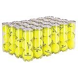 Wilson Practice Extra Duty Tennis Ball Case
