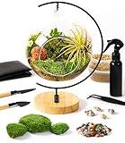 15-Piece Terrarium Kit with Live Moss – DIY Glass Globe Set with Tools, Soil, Stones & Spray Bottle – Indoor Mini Garden Gift for Plant Lovers, Home Decor & Zen Craft