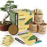 Bonsai Starter Kit - Gardening Gift for Women & Men - Bonsai Tree Growing Garden Crafts Hobby Kits for Adults, Unique DIY Hobbies for Plant Lovers - Unusual Christmas Gifts Ideas - or Gardener Mother