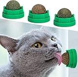 SINROBO 3 Pack Catnip Balls, Catnip Ball for Cats Wall, Edible Kitty Toys for Cats Lick, Safe Healthy Kitten Chew Toys, Teeth Cleaning Dental Cat Toys, Cat Wall Treats (Green)