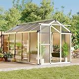 6 x 10 FT Greenhouse, Greenhouses for Outside, Polycarbonate Greenhouse with Aluminum Frame, Lockable Door and Ajustable Roof Vent for Backyard, Green Houses for Outside Garden Backyard, Patio