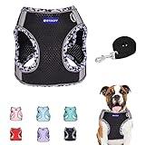 BTDCFY Step-in Mesh Dog Harness and Leash Set, Breathable Air Mesh, Reflective, Escape Proof, No Choke, Lightweight, Black, S(neck:16"-18.5", chest:22"-27"), Sporty Style