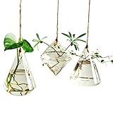 Glass Hanging Planter Plant Terrarium Hanging Propagation Station Container for Hydroponic Plants Home Garden Decor 3 Type