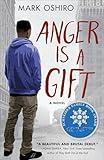 Anger Is a Gift: A Novel
