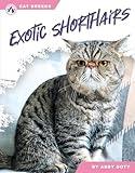 Exotic Shorthairs (Cat Breeds)