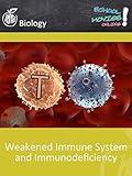Weakened Immune System and Immunodeficiency - School Movie on Biology