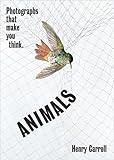 ANIMALS: Photographs That Make You Think