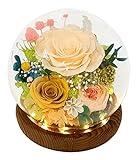 Valley of Rain & Forest Long-Lasting Real Flowers, Unique Floral Gift for You to Send Love for All Occasions, for Indoor Decoration (Champagne Rose, Yellow Rose, Yellow Austin Rose)