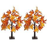 Dazzle Bright 2 Pack 24 Inch Lighted Thanksgiving Fall Maple Tree Decor, 24 LED Battery Operated Decorations Artificial Tree with Timer for Indoor Home Room Holiday Xmas Party