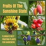 Fruits Of The Sunshine State: Florida’s Best Fruiting Plants For Gardeners