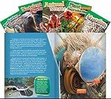 Teacher Created Materials - Science Readers: Content and Literacy: Life Science - 5 Book Set - Grade 4 - Guided Reading Level Q - S