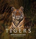 Remembering Tigers (Remembering Wildlife)