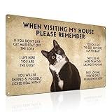 ALKB Funny Tuxedo Cat-Themed Sign 8x12 Inch - Visitor’s Guide to Interacting with Cats - Gift for Cat Lovers’ Home Decor