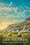 Where the Lost Wander: A Novel