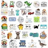 Chivertion 400 Pcs Funny Stickers for Adults Waterproof Funny Meme Stickers Pack for Laptop, Water Bottles, Bumper, Phone, Hard Hats, Wall, Window Decals Decors, 50 Styles(Funny Style)