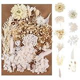 AhlsenL Real Natural Dried Flowers - Mixed Hydrangeas, Daisies, White Decorative for DIY Candle Resin Jewelry Nail Pendant Crafts (Beige)
