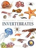 Animals - Invertebrates : Knowledge Encyclopedia For Children