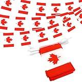 Anley Canada Canadian String Pennant Flags, Patriotic Events July 1st National Canada Day Dominion Day Celebration Decoration for Sports Bars - 33 Feet 38 Flags