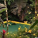 Pool Time